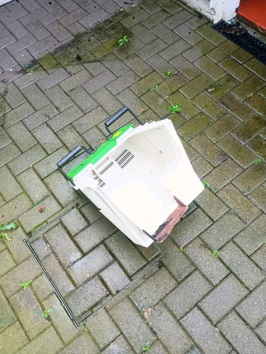 Etesia - Image 4
