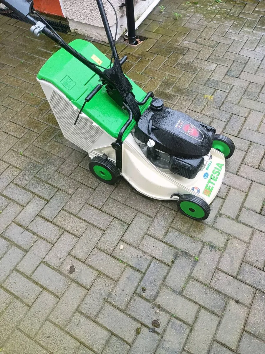 Etesia - Image 1