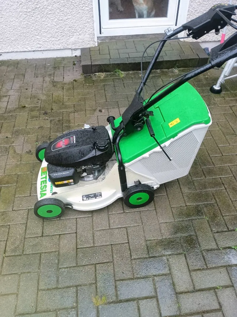 Etesia - Image 3