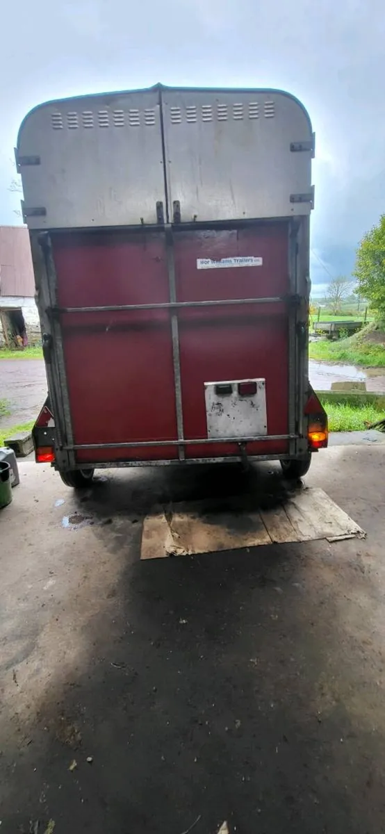 Ifor williams horse box - Image 2