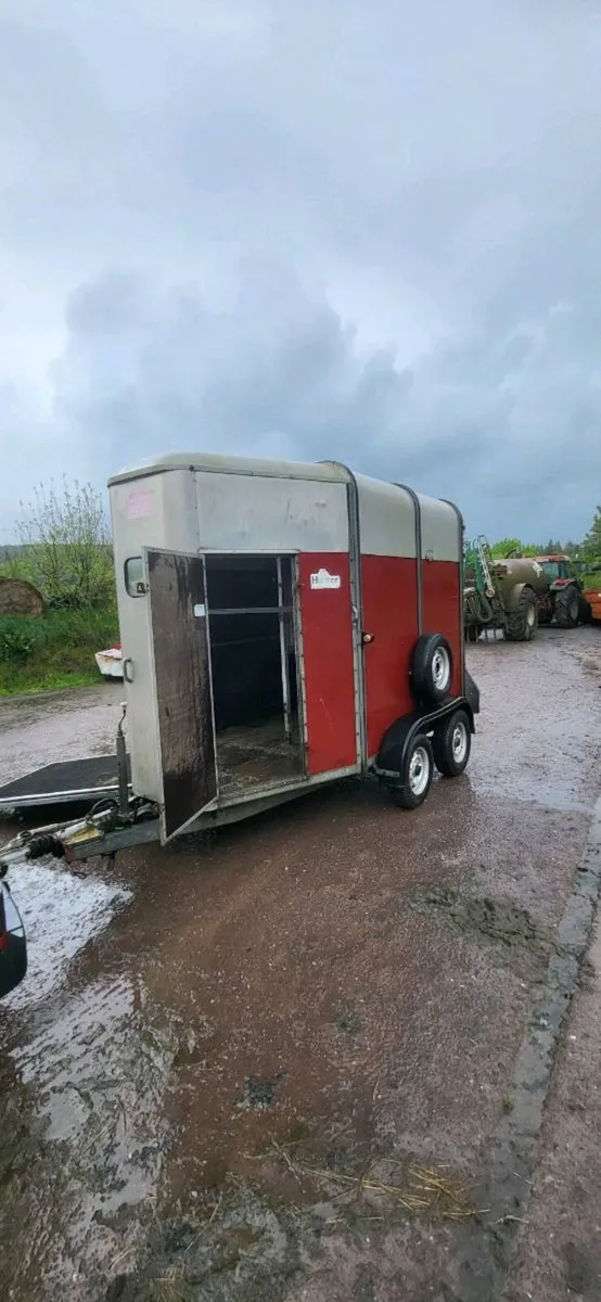 Ifor williams horse box - Image 3