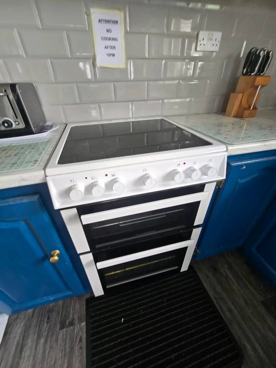 Electric Cooker - Image 2