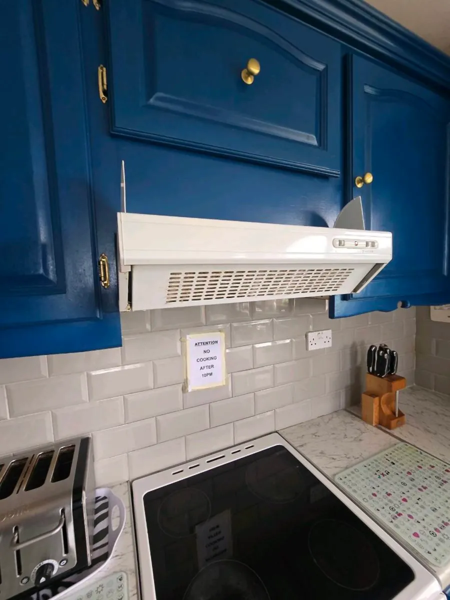 Electric Cooker - Image 3