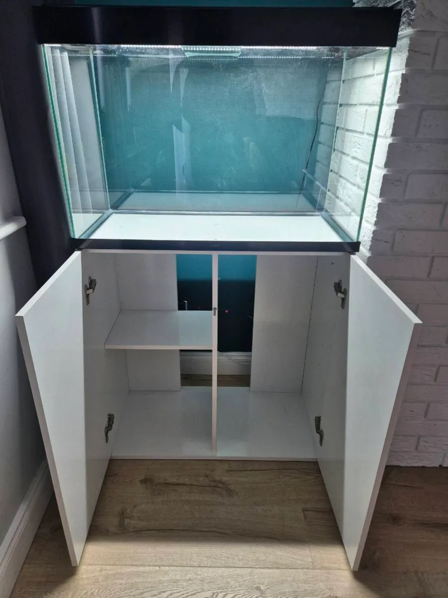 Fish tank - Image 2