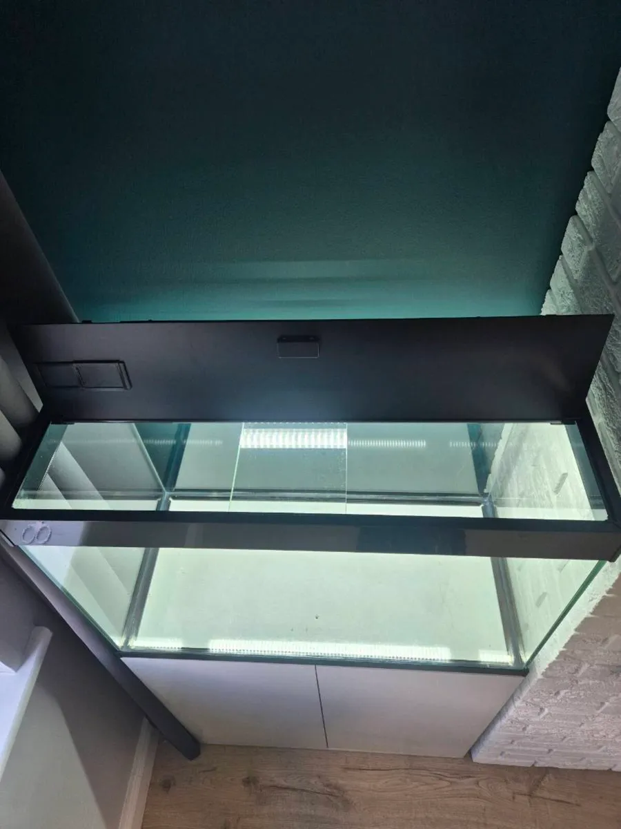 Fish tank - Image 3