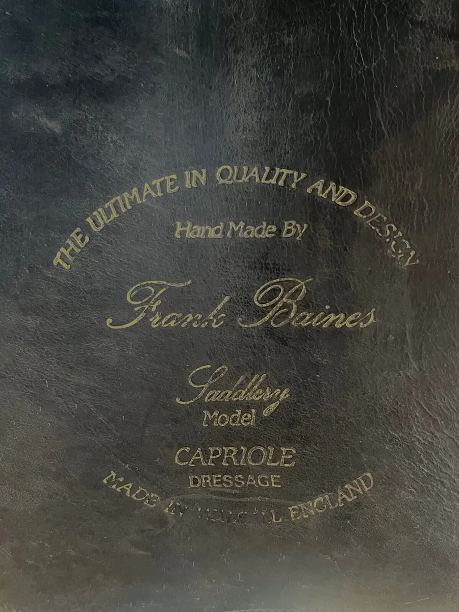 Saddle - Image 3