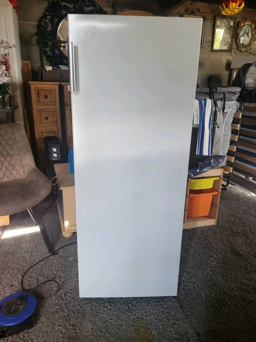Tall freezer - Image 1