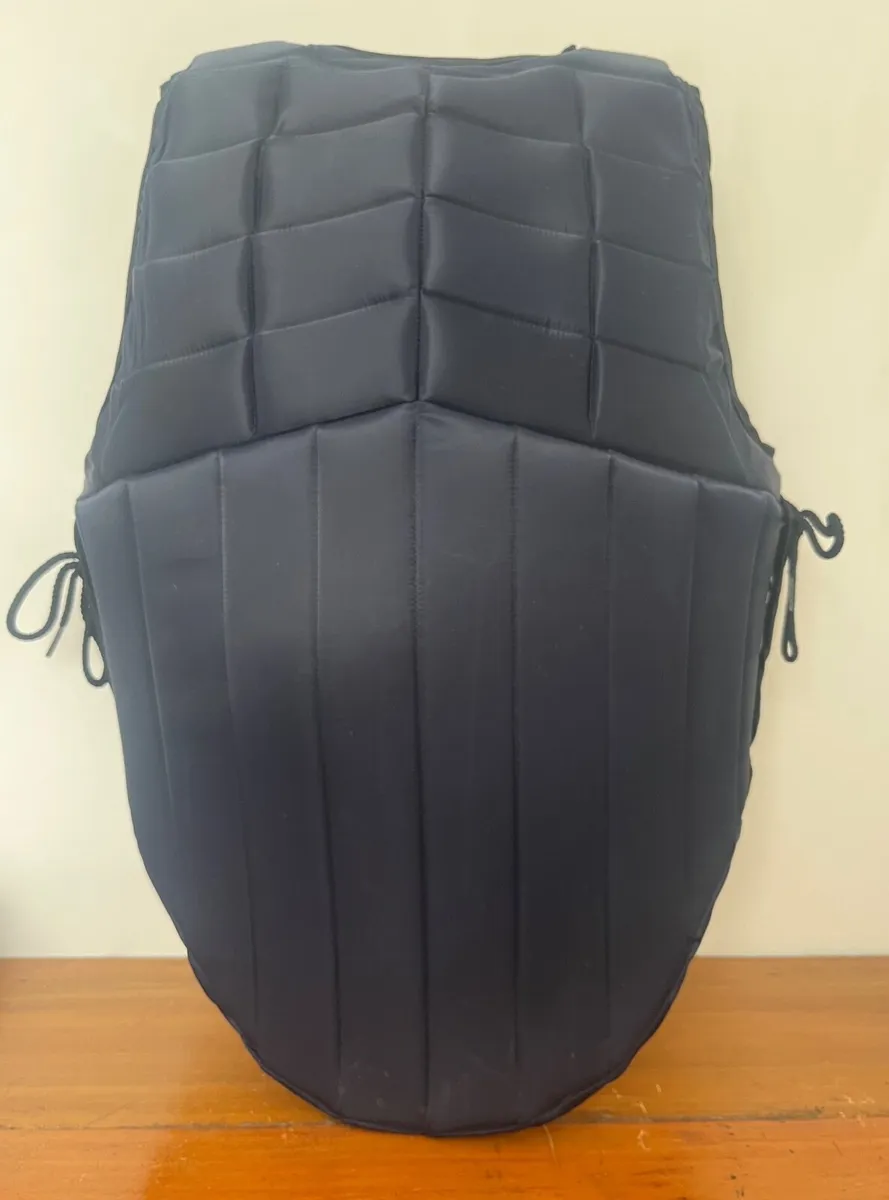 Body protector - Image 2