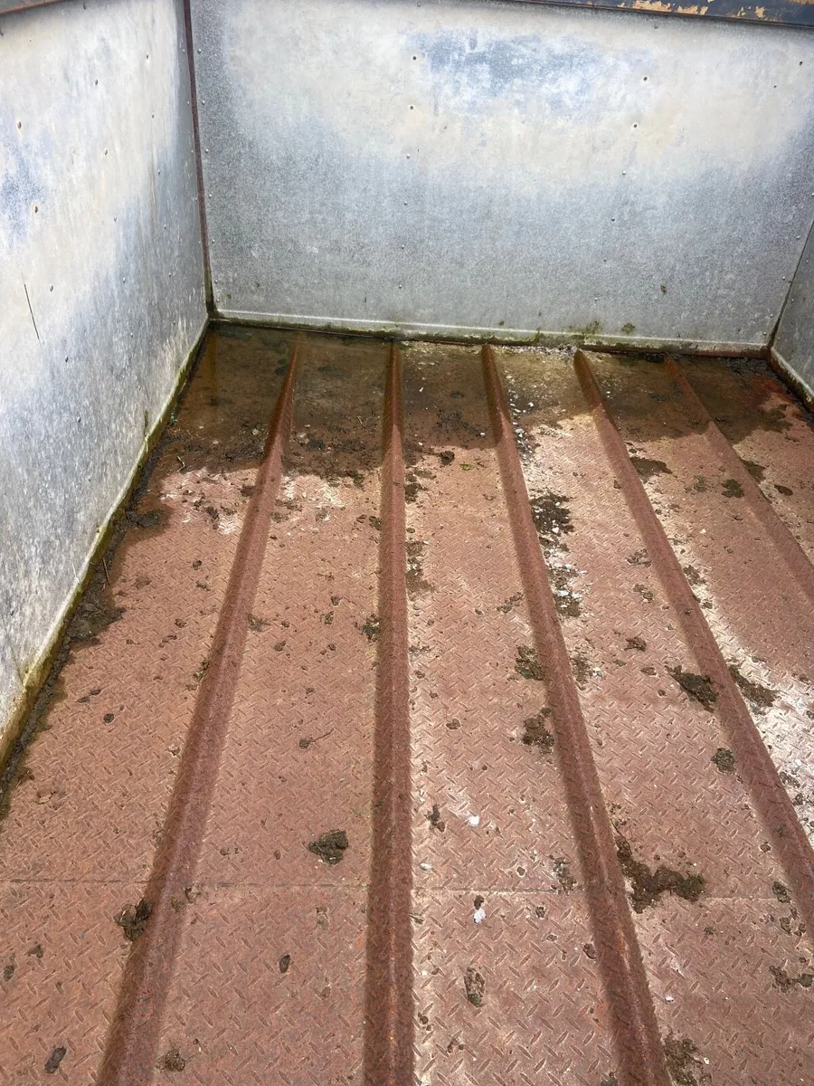 Cattle trailer 14ft x8 - Image 3