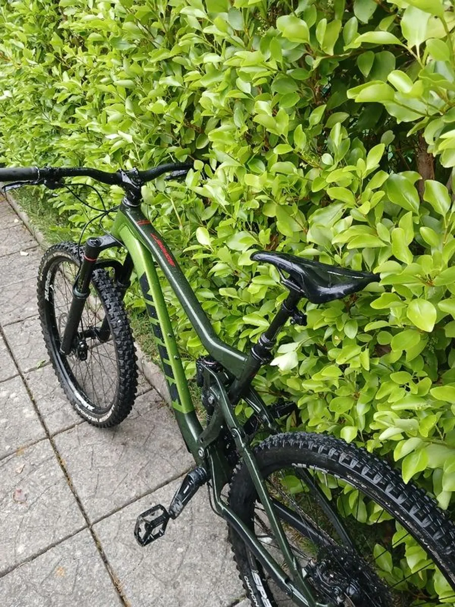 Vitus Sommet - Image 1