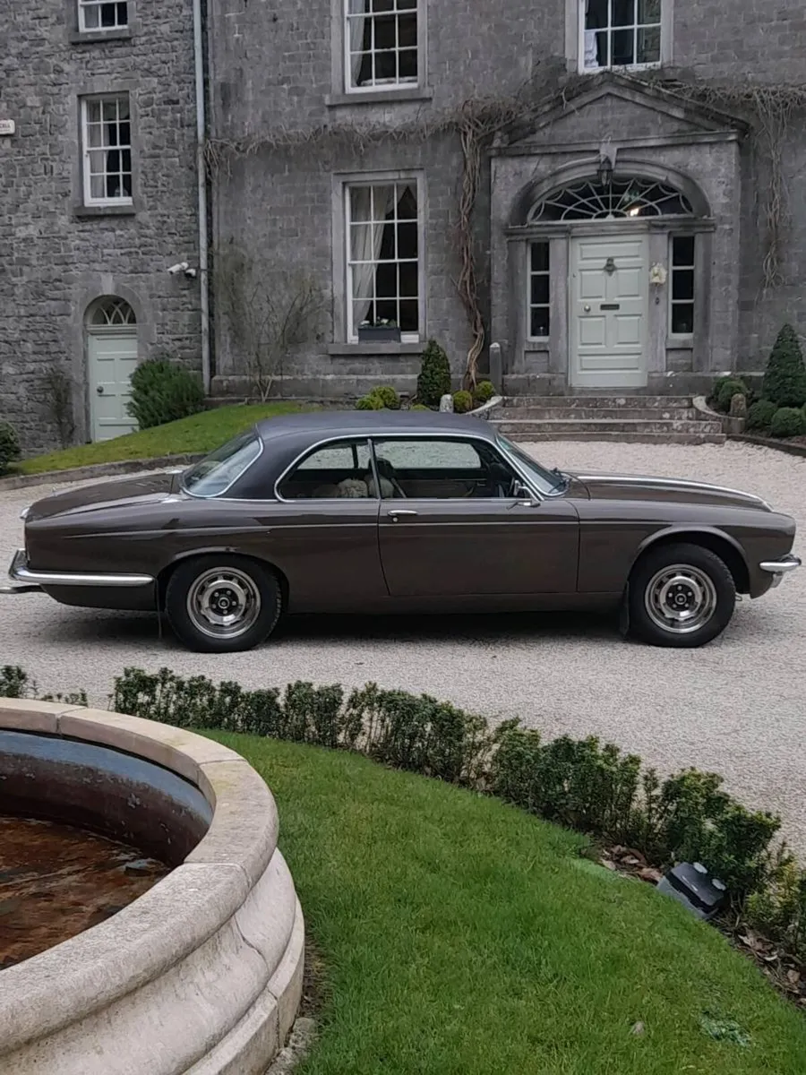 Jaguar/daimler 2dr. Coupe - Image 3