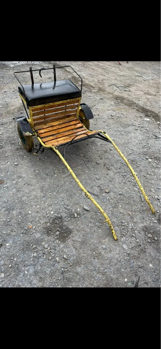 Pony size road cart - Image 1