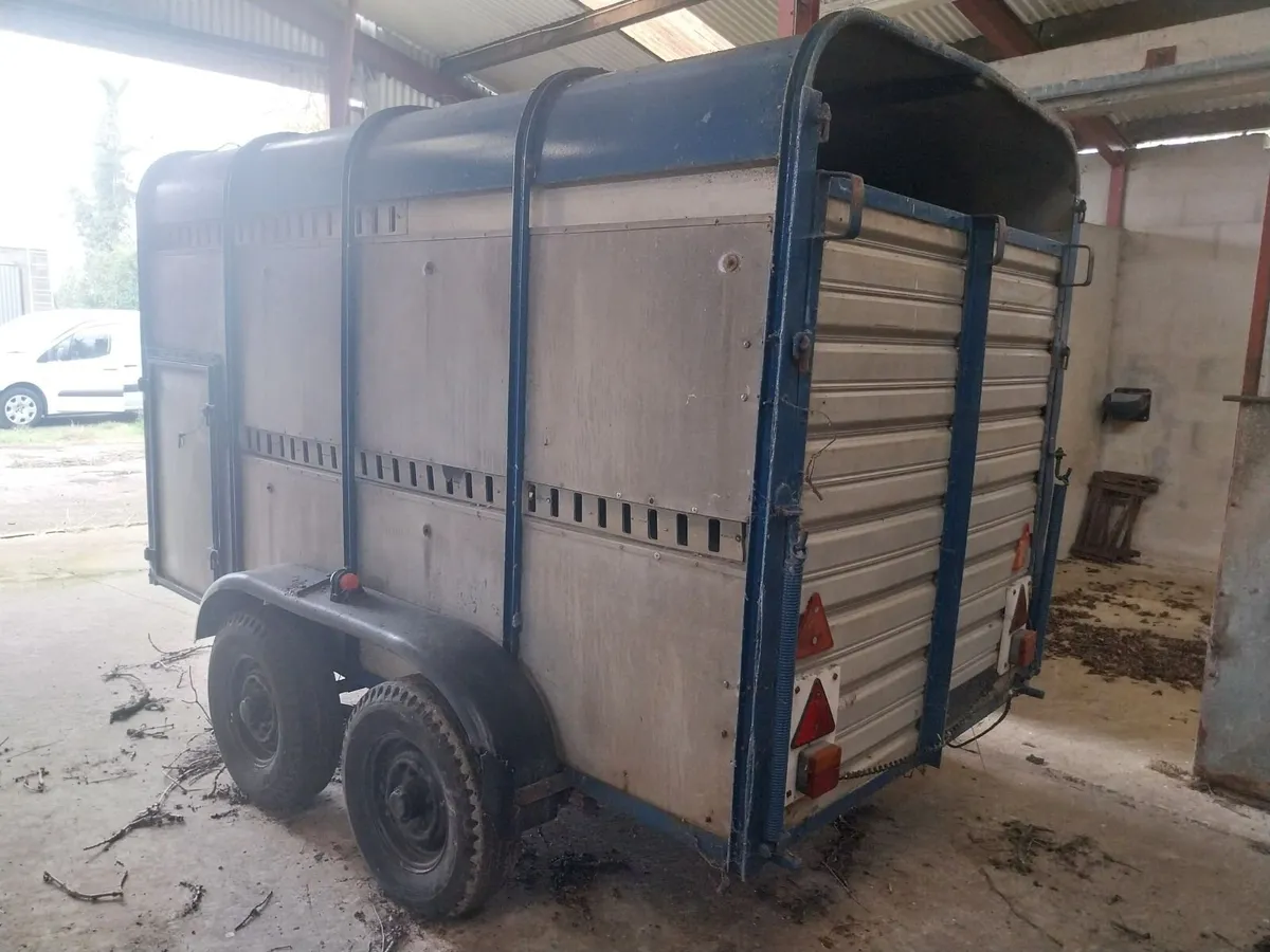 Twin axle trailer - Image 1