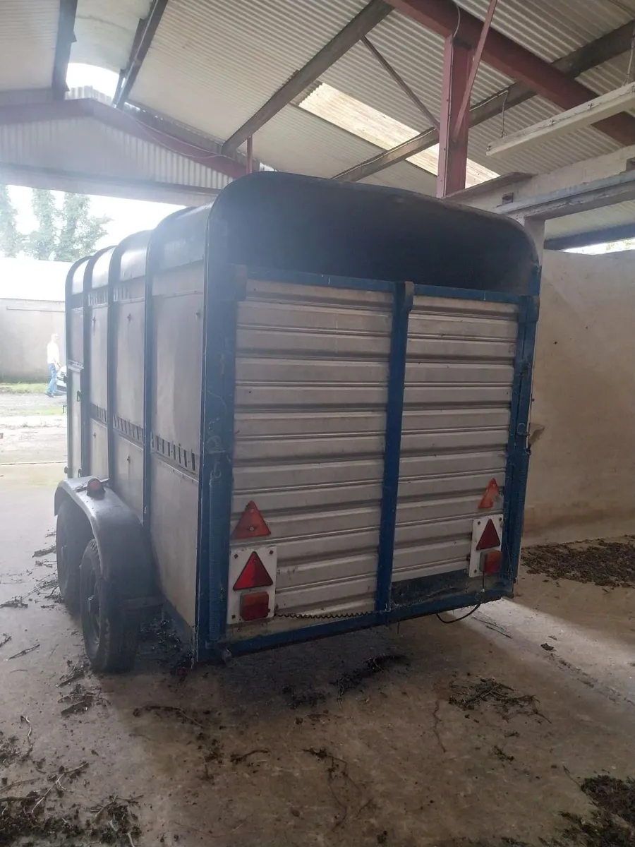 Twin axle trailer - Image 2