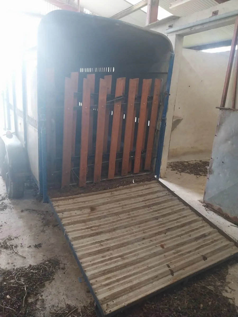 Twin axle trailer - Image 4