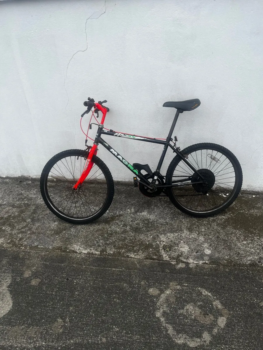 Bicycle - Image 1