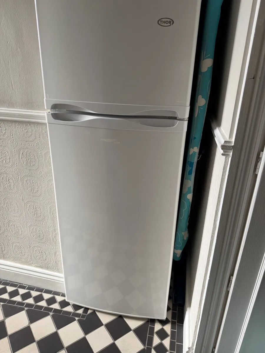 Fridge Freezer - Image 1