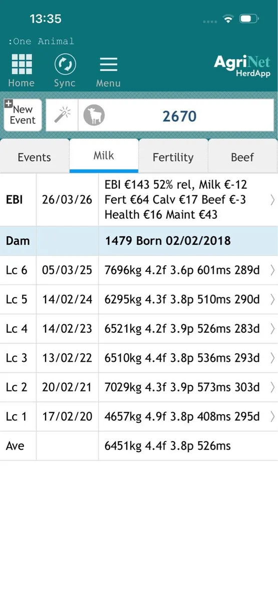 Fr heifer calves - Image 3