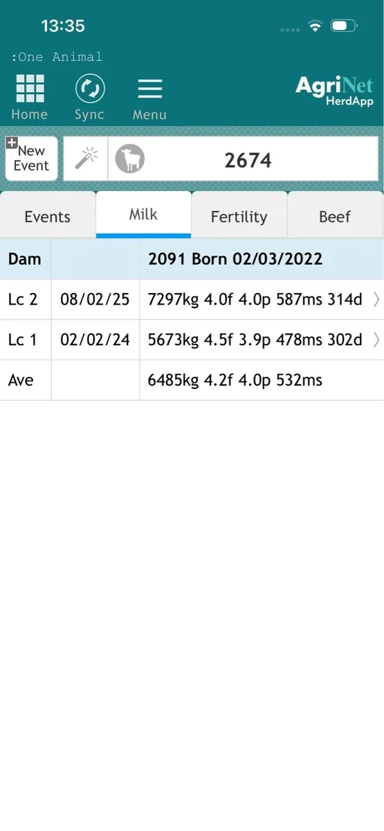 Fr heifer calves - Image 4