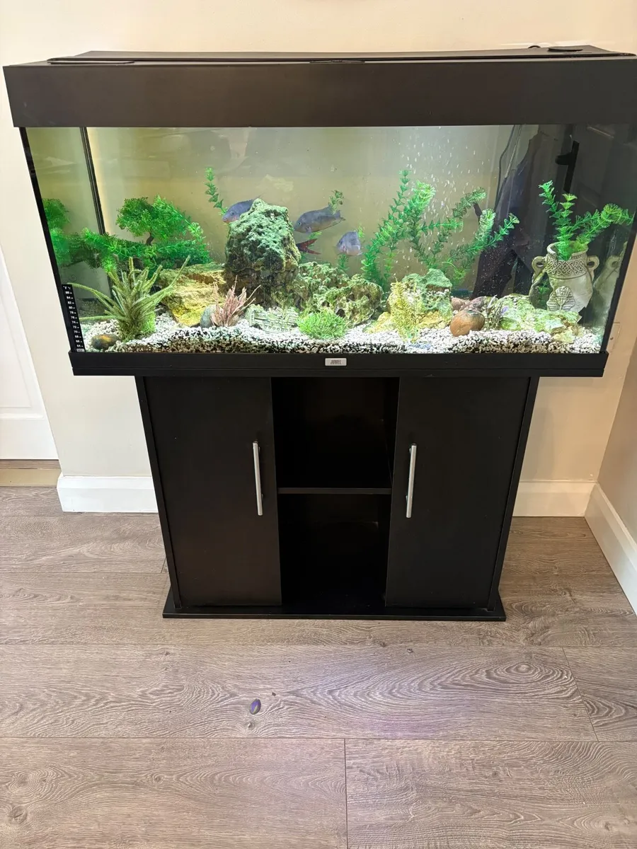 Fish Tank - Image 1