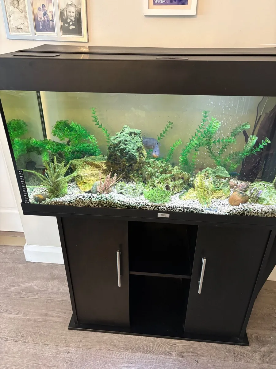Fish Tank - Image 2