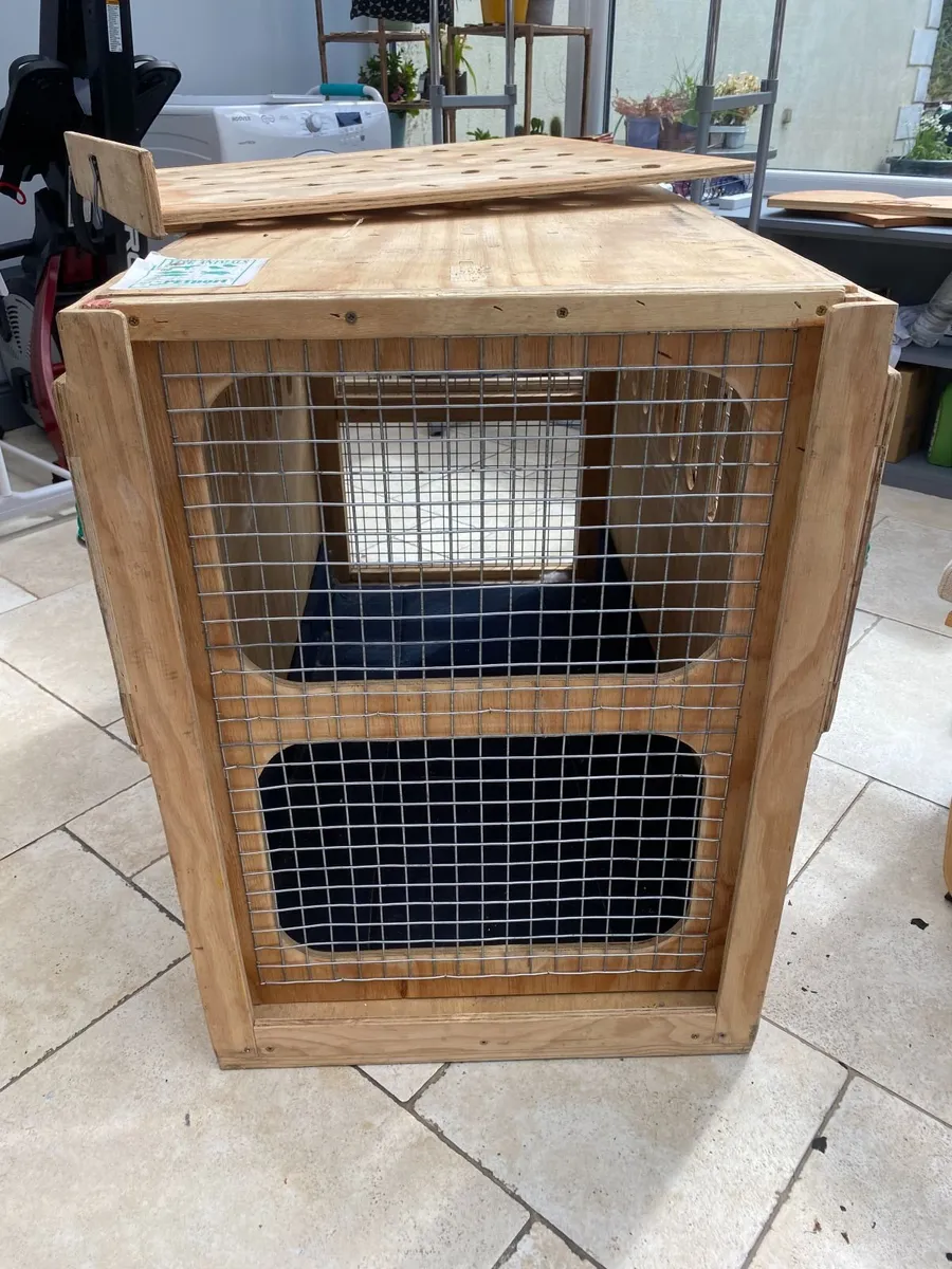 Large wooden dog travel crate / pet transport box - Image 4