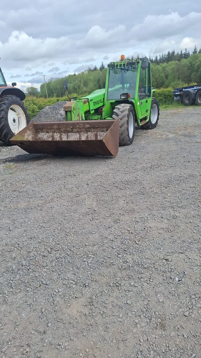 Merlo - Image 2