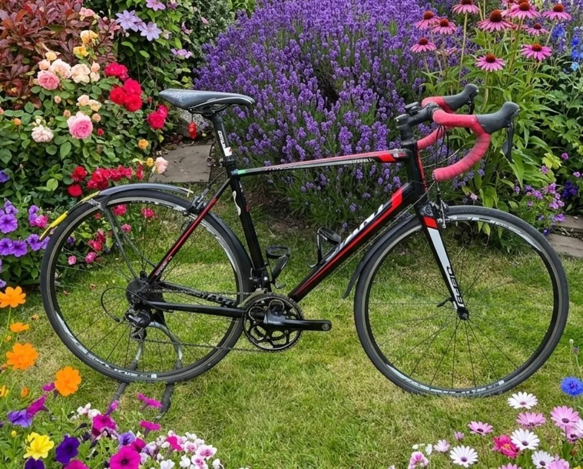 Giant Defy 1 - Image 1