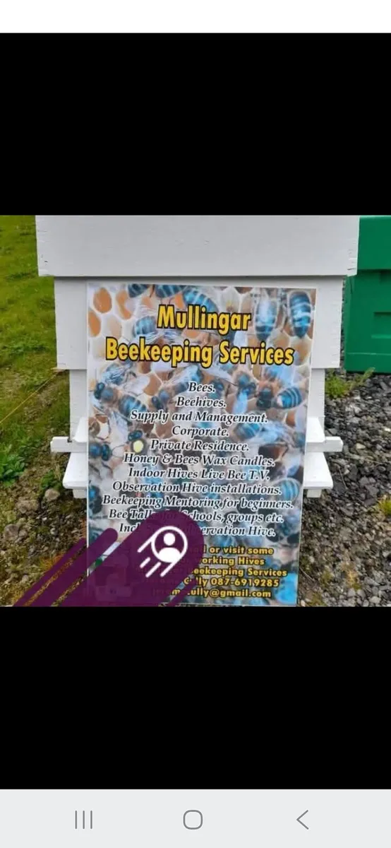 Bees - Image 2