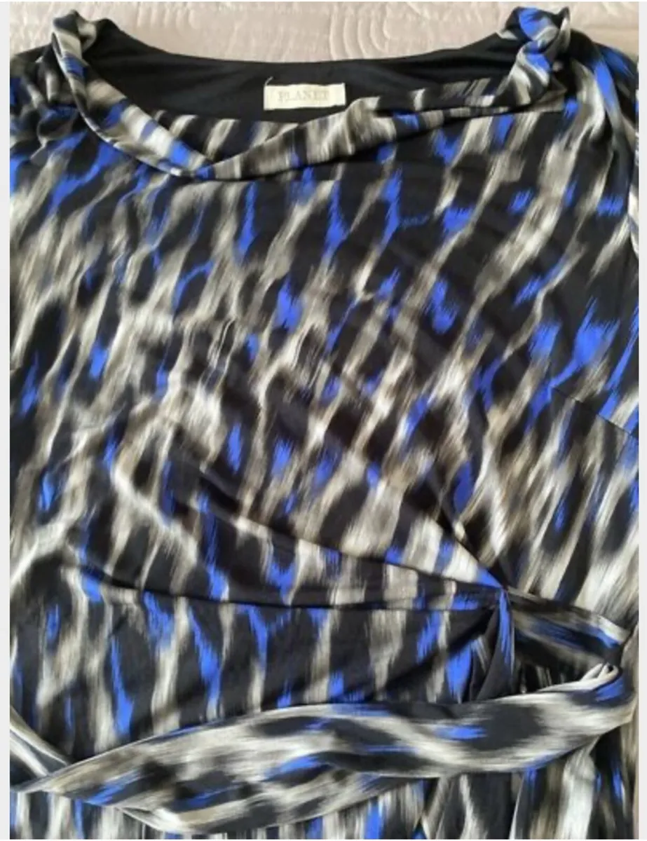 Planet Dress Size 12 - Image 3