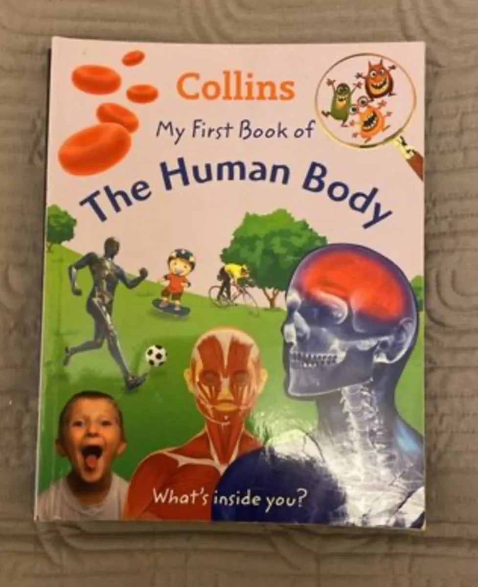 Collins My First Book of (7 books) - Image 3