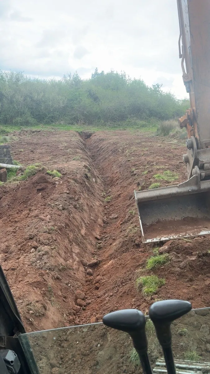 13T Excavator For Hire - Image 2