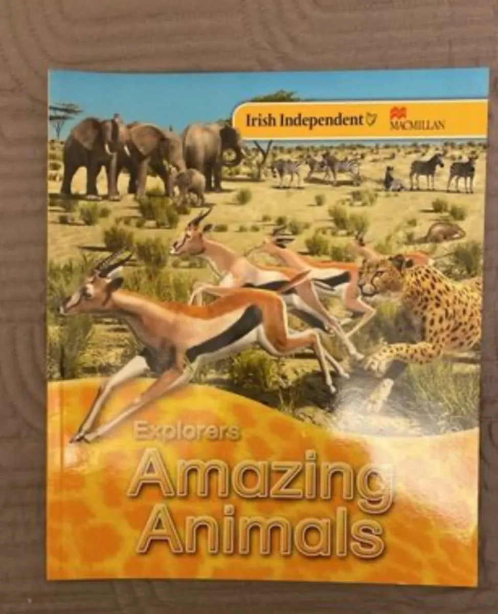 Explorers Series Books x 9 books - Image 1