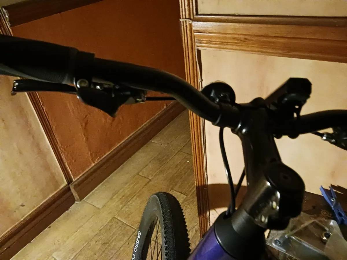 Trek Bicycle (Size Small) Dual Sports 1 - Image 2