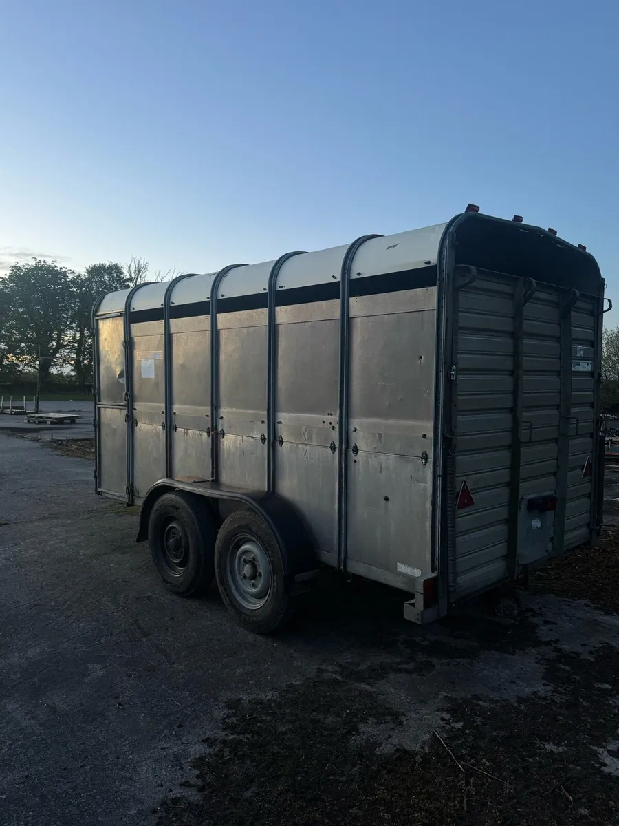 Cattle trailer - Image 4
