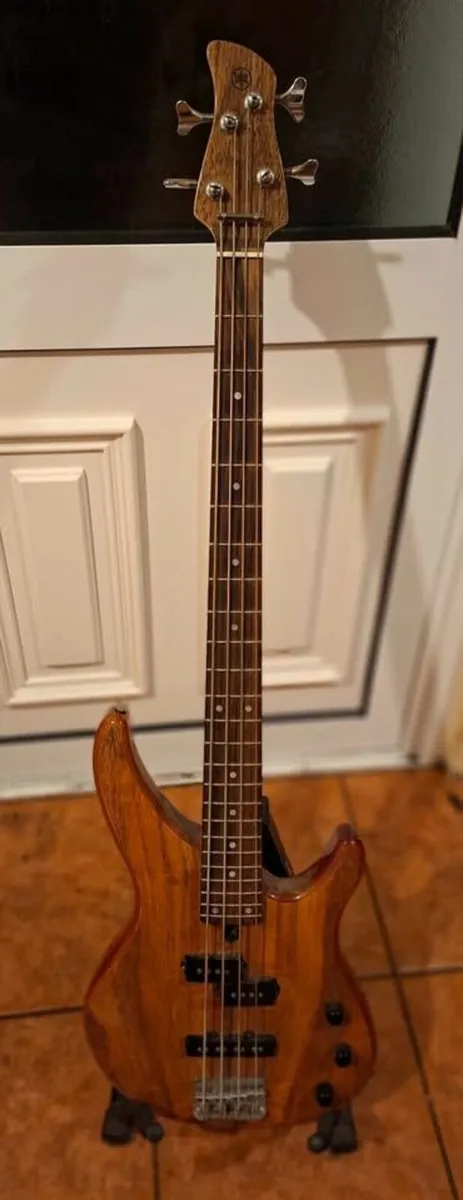 bass guitar