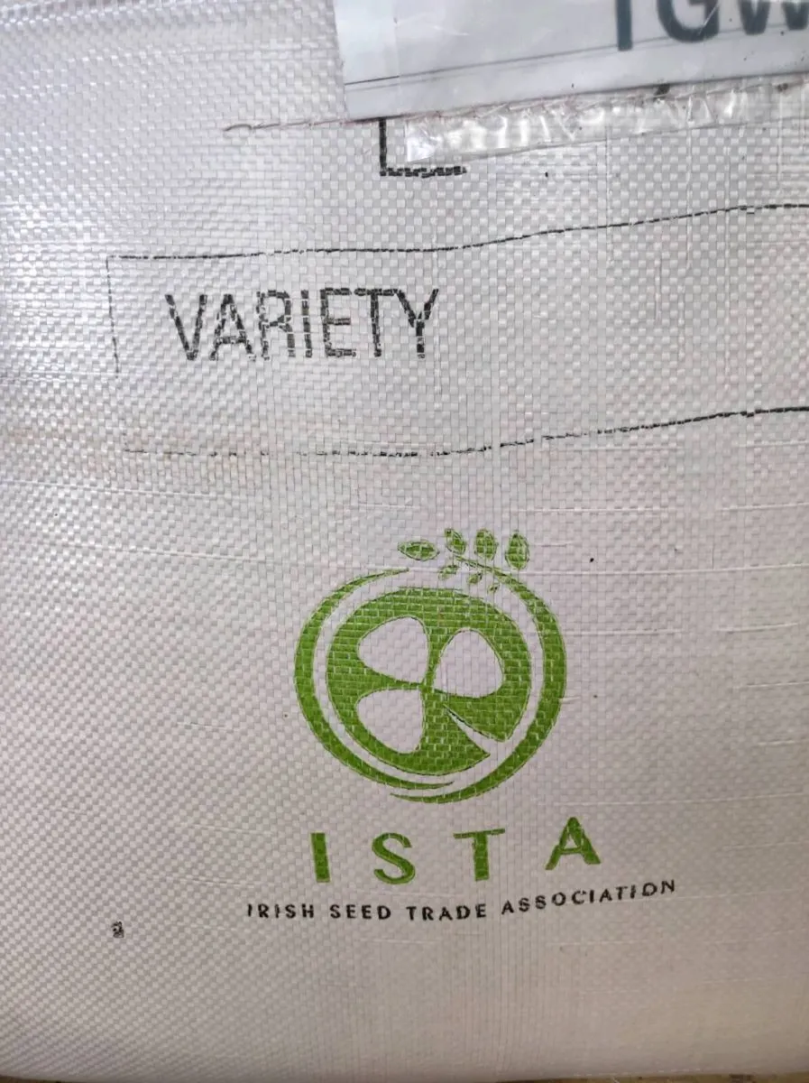 1ton Certified treated winter barley seed for sale - Image 2
