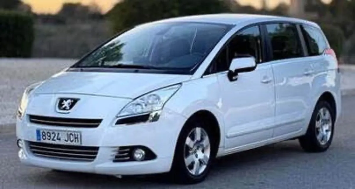 Successful Car Hire Garage Service  Orihuela Costa - Image 2
