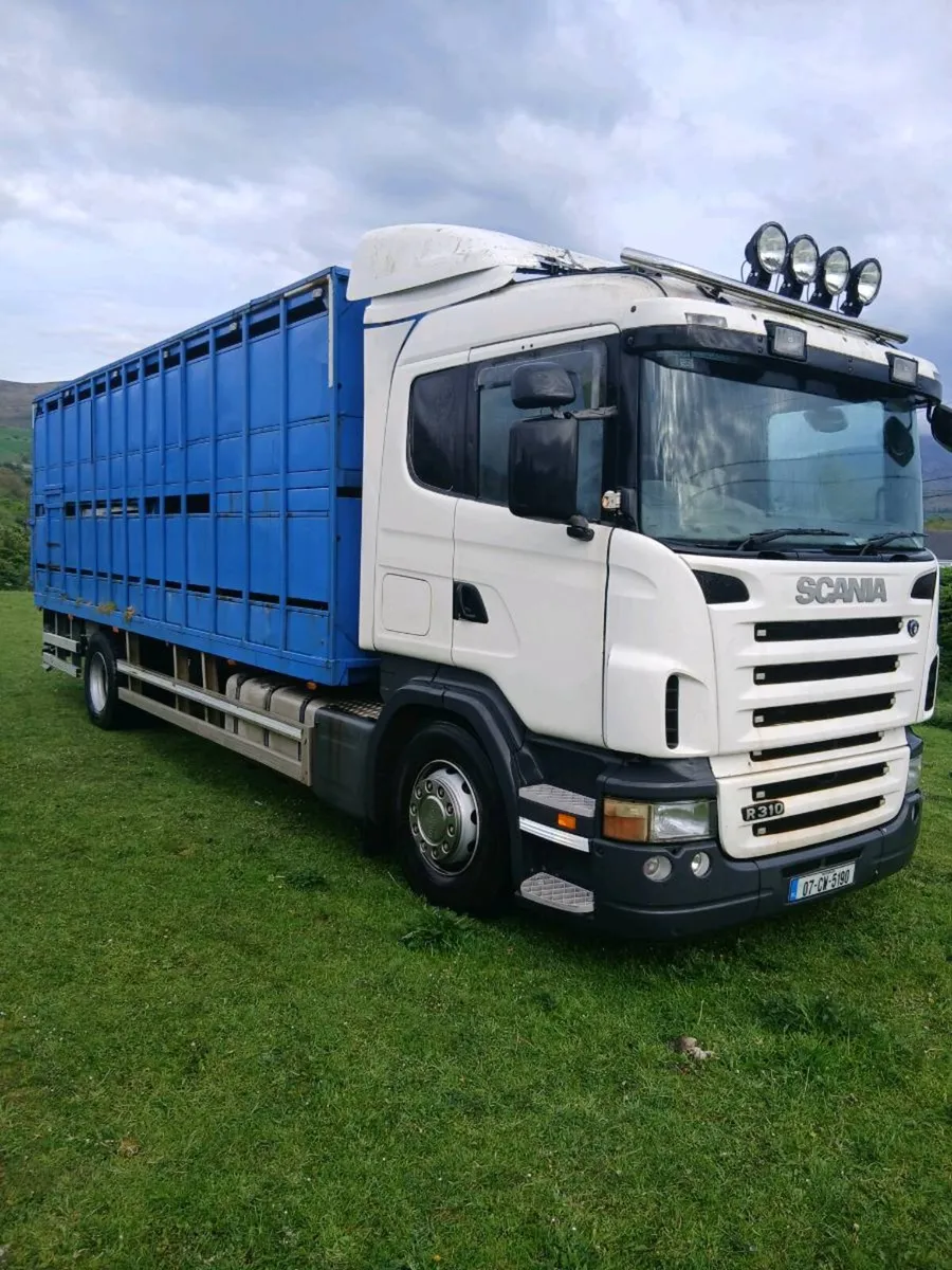 Livestock scania - Image 1