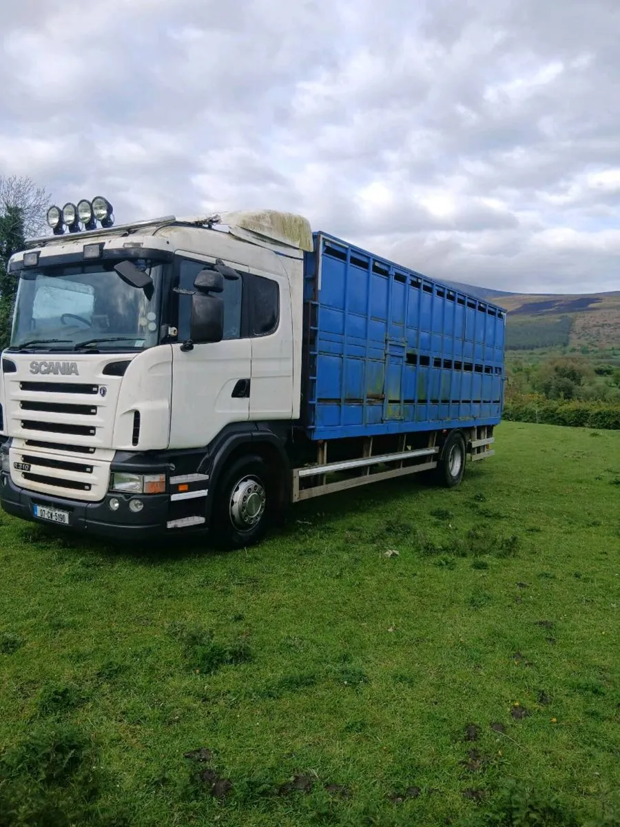 Livestock scania - Image 2