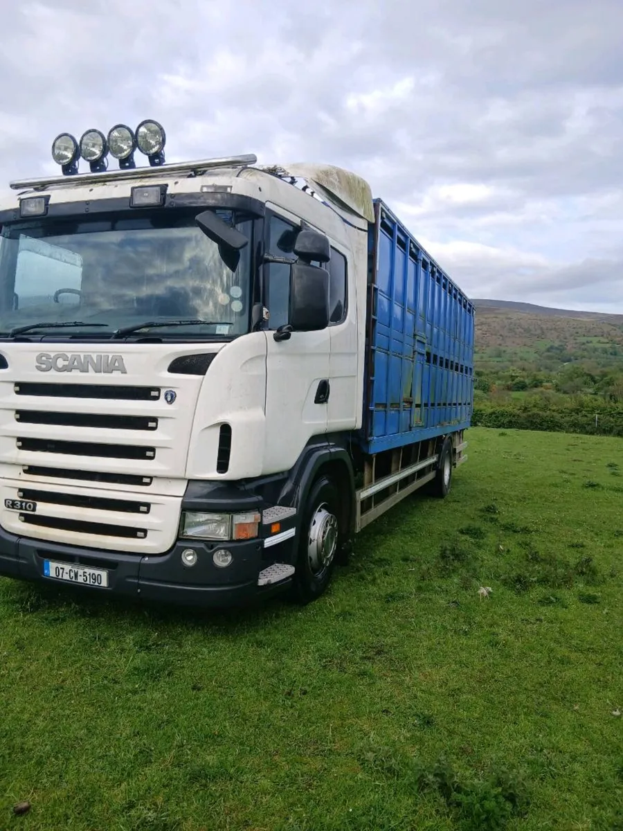 Livestock scania - Image 3