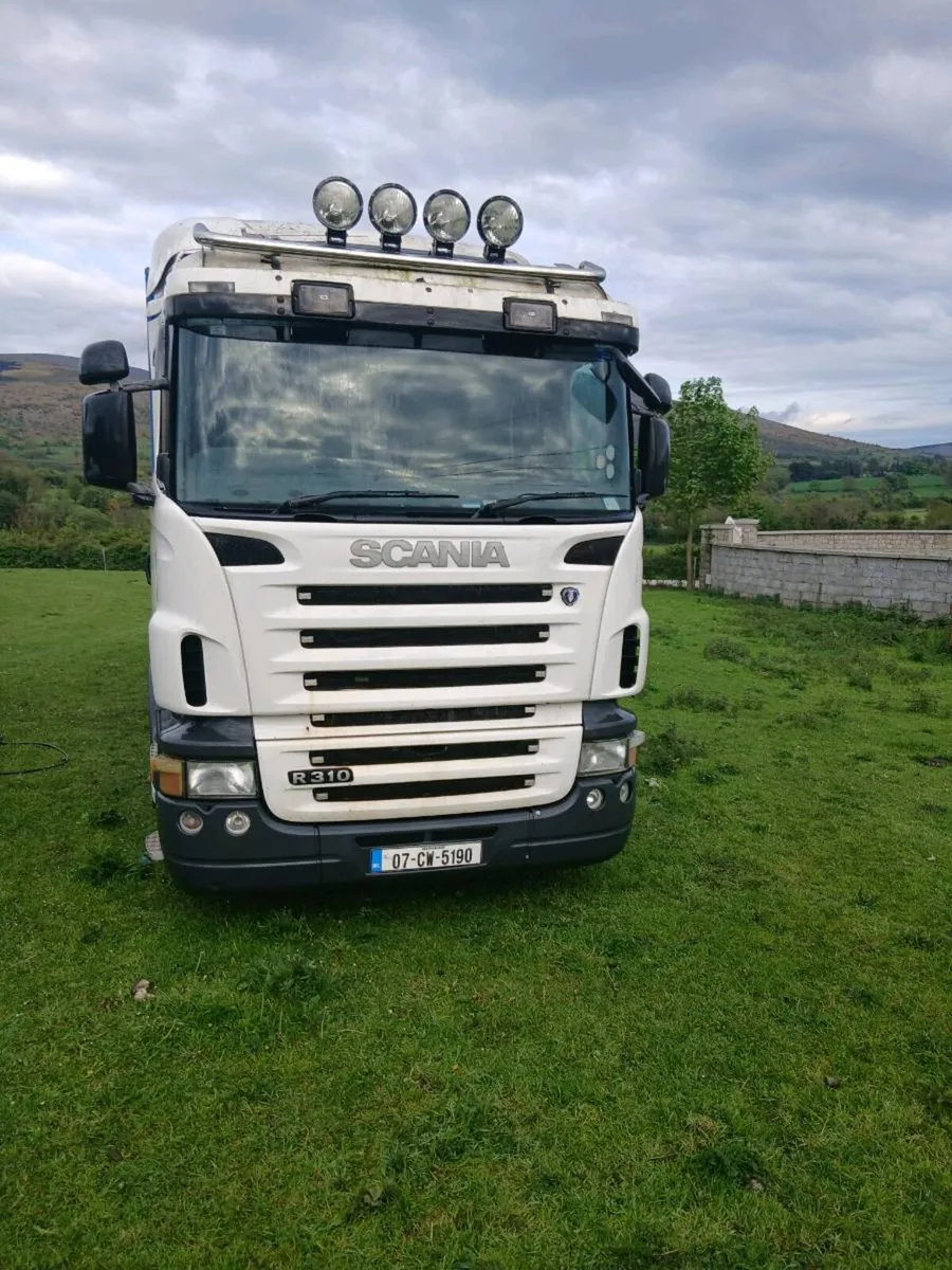 Livestock scania - Image 4
