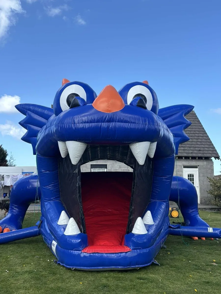 Bouncy castles - Image 2