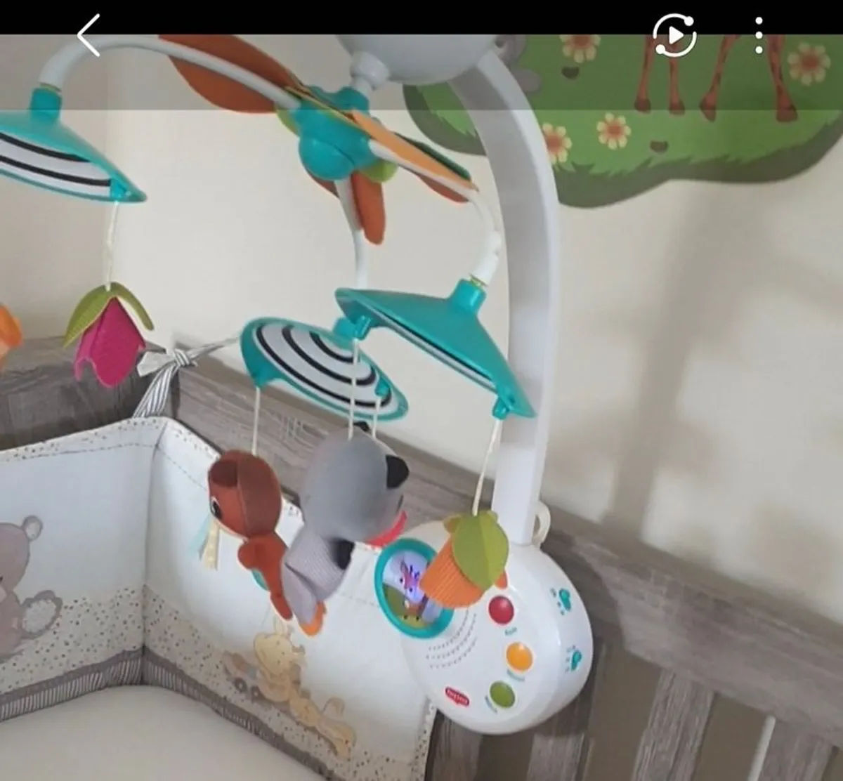 Cot - Image 2