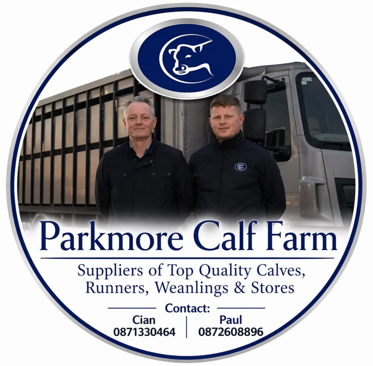 Top Quality Calves, Reared Calves & Runners - Image 1