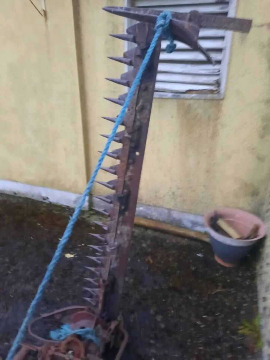 International fingerbar finger bar mower - Image 3