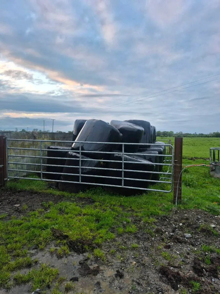 Silage bales