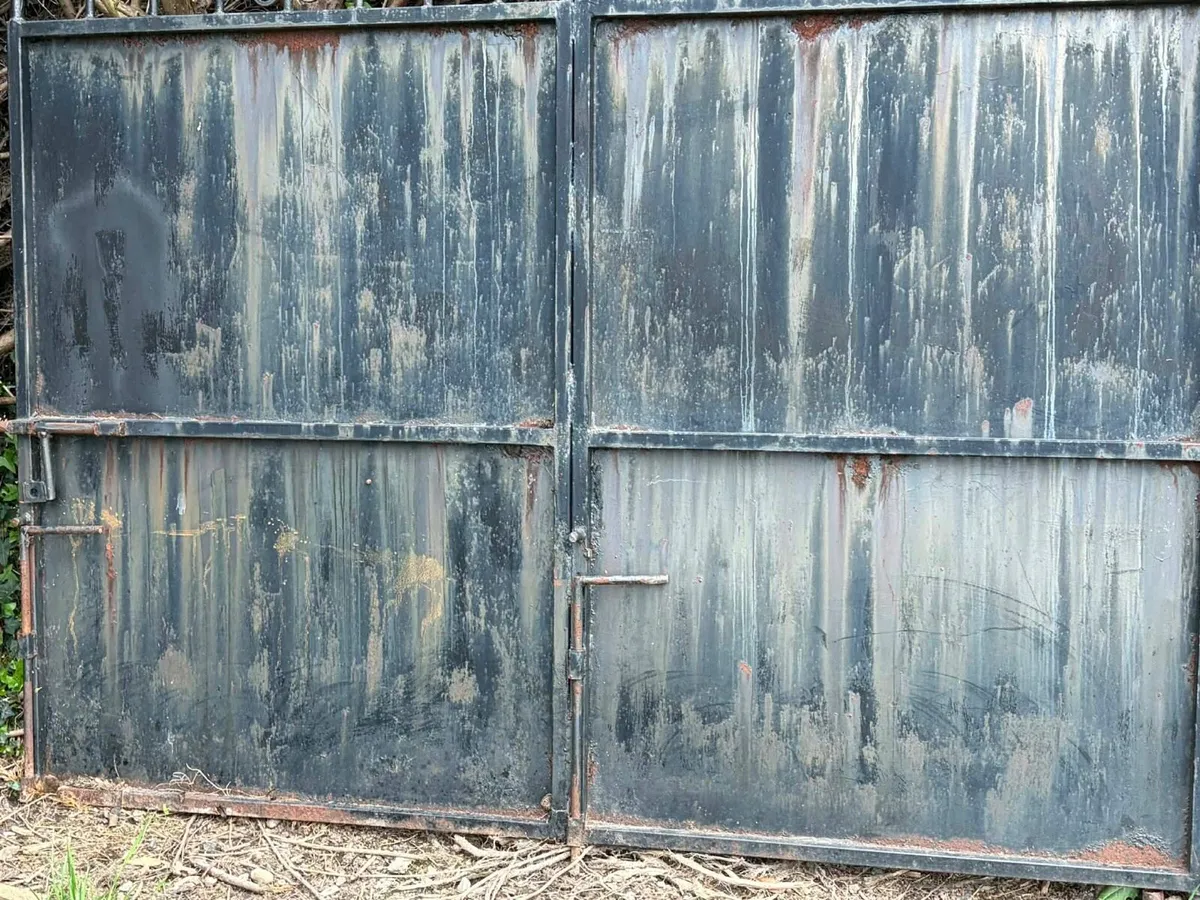 Cast iron gate €100 - Image 3