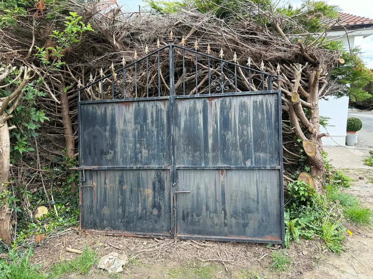 Cast iron gate €100 - Image 2