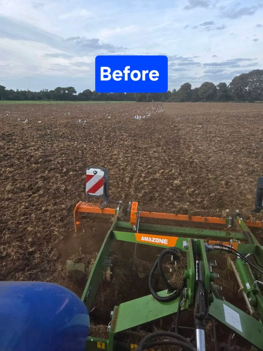 Reseeding/ Grass stitching - Image 2